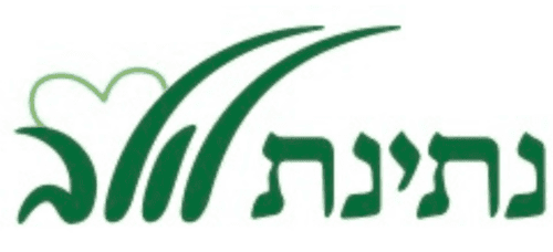 לוגו לולב (2)